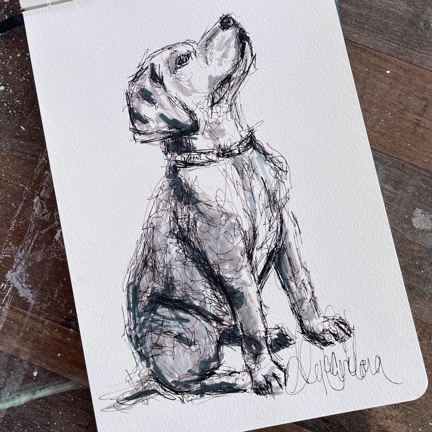 Custom Pet Portrait