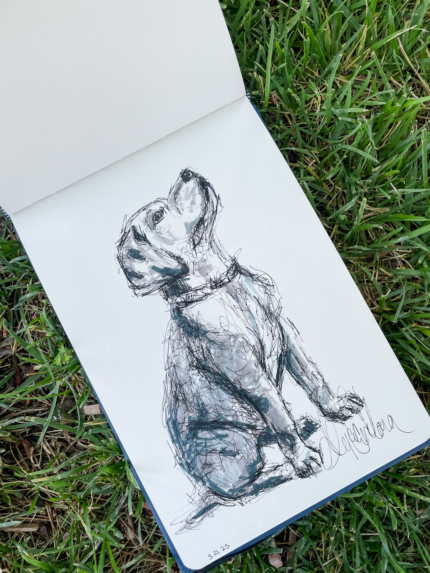 Custom Pet Portrait