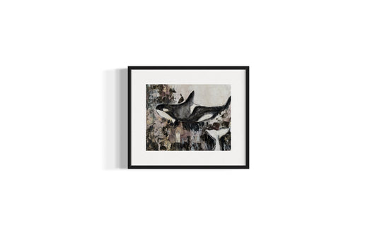 Orca | 11”x14” | Original Art | Unframed