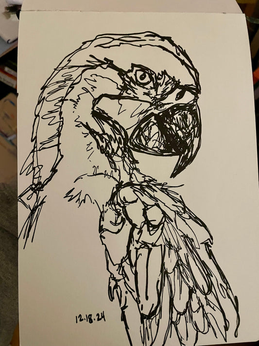 Macaw